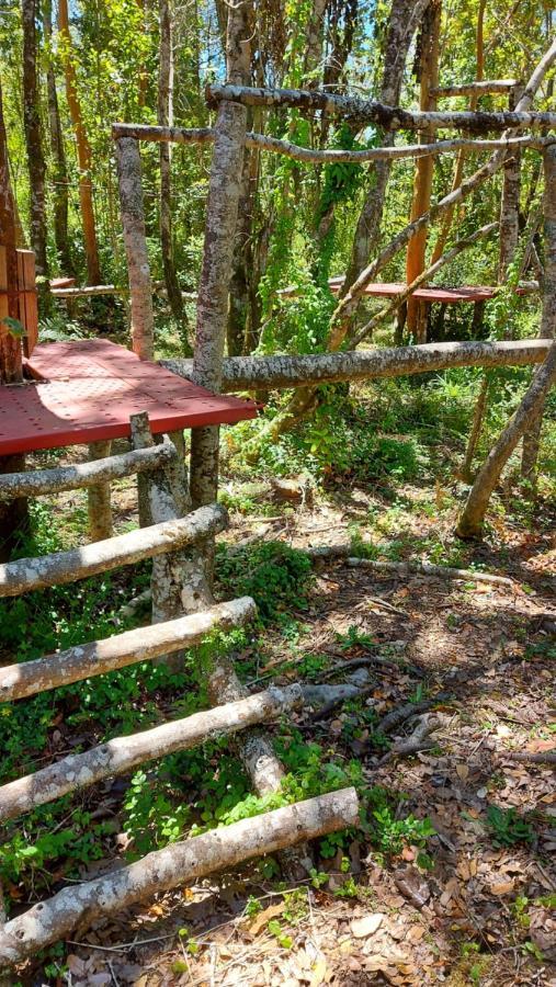 Hotel Lodge Las Cascadas Puerto Clocker Exterior photo